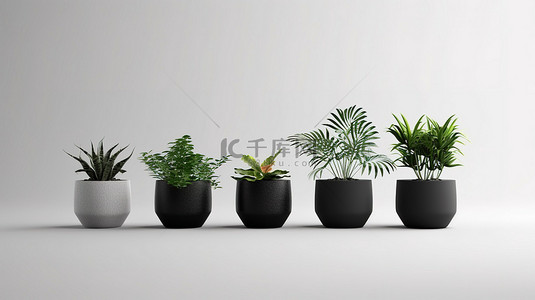 令人惊叹的盆栽植物 3D 效果图