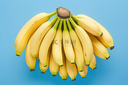 蓝色背景上一圈围成一圈的香蕉