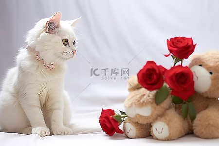 一只猫看着一只拿着鲜花的泰迪熊