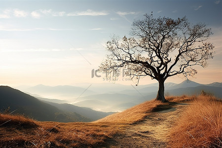 山城通远门背景图片_树木风景山日出冬天秋天