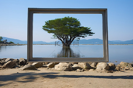 旅游景点拍照背景图片_相框一侧是水景，另一侧是一棵老萨摩树