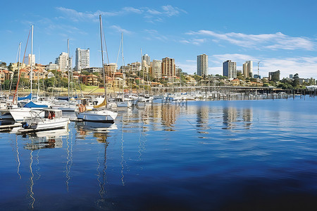 公路澳大利亚背景图片_大水域停靠着小船和大型城市建筑