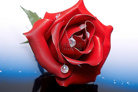 施华洛世奇戒指对戒1062754背景图片_红玫瑰配蓝色珍珠和施华洛世奇水晶