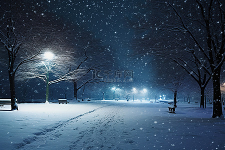 和平书院背景图片_积雪覆盖的树木和公园