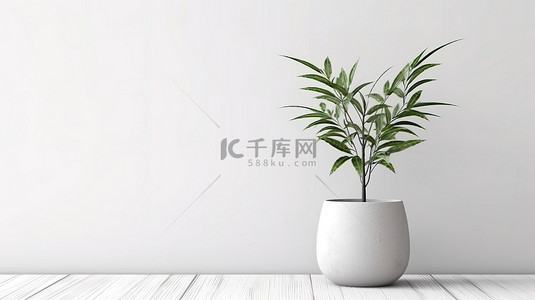 简单而时尚的白色木板墙装饰着娇小的盆栽植物 3D 渲染