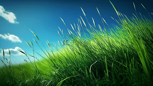 草地蓝天背景