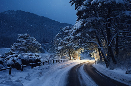 夜间树木环绕的雪路