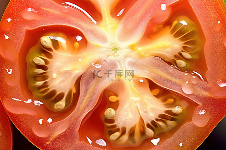 番茄大虾背景图片_近距离拍摄的番茄种子通常是黄色的