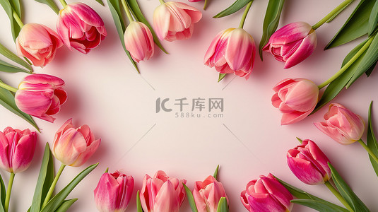 美丽的艺术框架背景图片_郁金香花朵美丽的框架素材