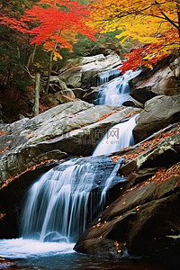 水和树叶背景图片_色彩缤纷的瀑布流过红色和黄色的树叶