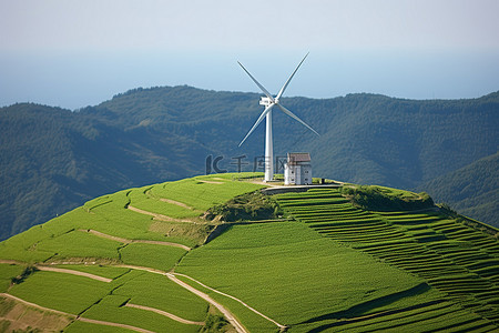 绿色山顶上的风车