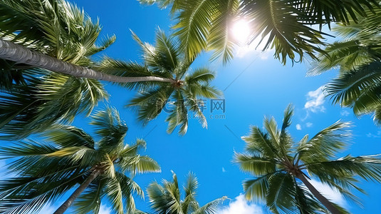 叶子蓝色背景图片_夏季蓝天椰子树叶子的 3D 渲染