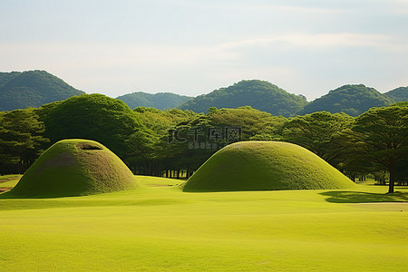 田野上有四个草甸形状的土丘，背景中有树木