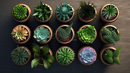 盆栽植物植物背景图片_用顶视图摄影背景捕获的 3D 渲染盆栽植物画廊