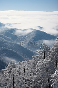 冬季白雪覆盖的烟雾缭绕的山脉