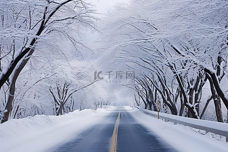 有冬天雪的路 冬天风景