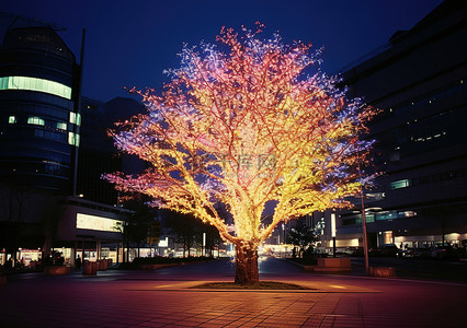 圣诞节夜晚背景图片_城市中一棵色彩缤纷的树