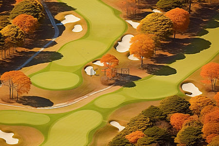 杨树叶背景图片_附近有很多树叶的高尔夫球场