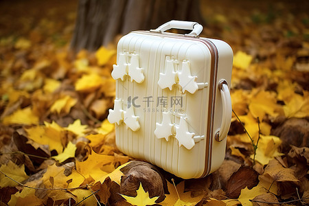 秋天银杏落叶背景图片_站在黄叶顶上的木制行李