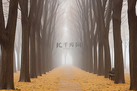 路上背景背景图片_雾中小路上矗立着几排树木和树木