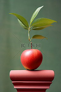 苹果叶子背景图片_带叶子的苹果的外围