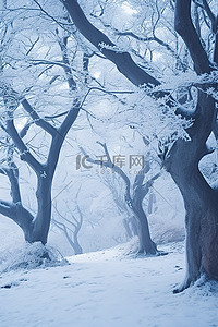 相亲指南背景图片_九州的雪树 韩国自然旅游指南
