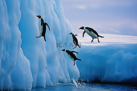企鹅从冰川中跳出来