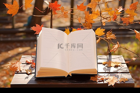 秋天背景图片_打开在秋叶旁边的木桌上的书