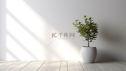 空的白色木板墙的最佳 3D 渲染的简单性，上面装饰着娇小的盆栽植物