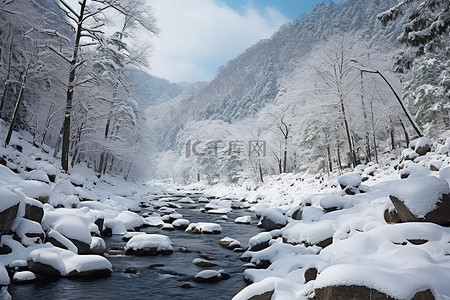 日本北部山区河流的雪