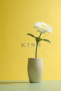 菊花花瓣一朵背景图片_黄色背景木花瓶中的一朵小白花