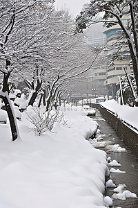 天气背景图片_金浦的雪