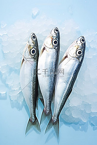 冰上嬉戏背景图片_四个煮淡水鲱鱼放在冰上