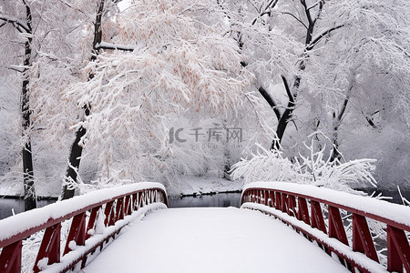 雪覆盖的木桥穿过雪覆盖的树林的景色