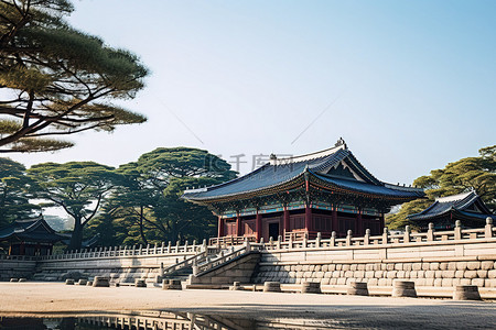 传统的韩国皇宫，有几棵树和一条小街道