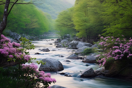 春天旅游背景背景图片_一条河流流经岩石山丘，周围环绕着树木和鲜花