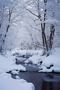 仁背景图片_冬季雪林树木即墨松浦仁王河