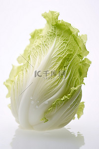 油渣白菜背景图片_白色表面上显示蒸白菜