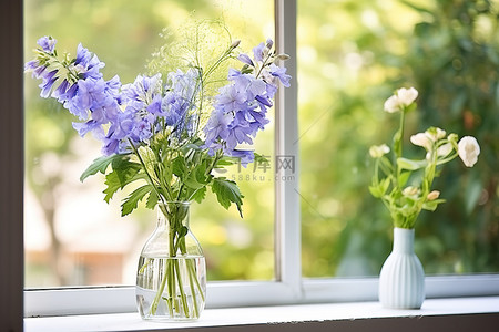 一扇窗户，上面有蓝色的花朵