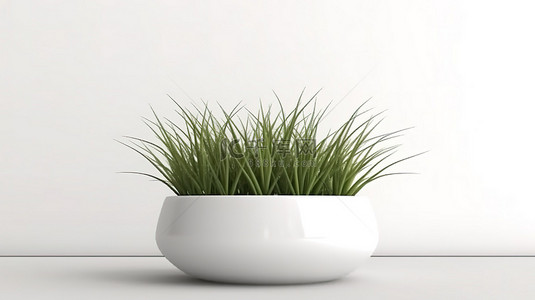 绿叶小背景图片_白色陶瓷花盆展示了白色背景上 3D 呈现的充满活力的绿草