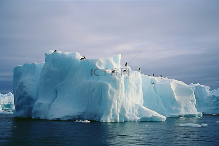 企鹅海的背景图片_企鹅站在冰山上