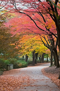 伦敦 英国秋景 高知 日本 日本秋景