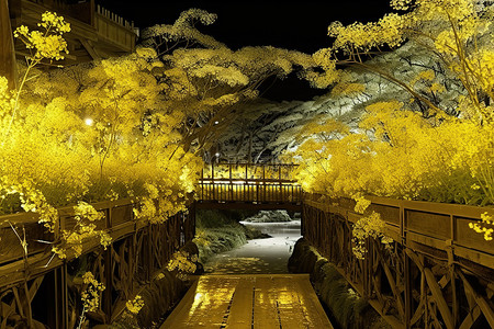 桥夜景背景图片_夜间桥上盛开的黄色花朵的图像