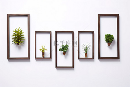 白墙上有五个木框，里面有植物