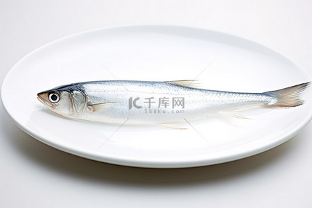 贝类背景图片_白色背景中白盘中的一条鱼