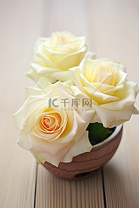 在背景图片_两朵白玫瑰坐在木碗里