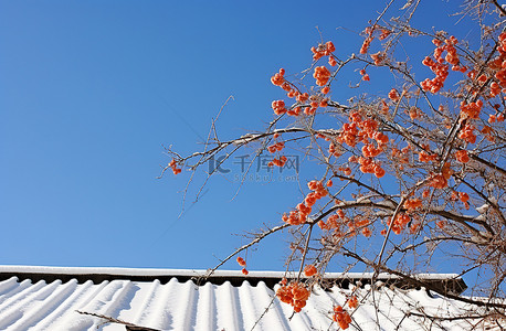 冬天站在雪下有蓝天和尼泊尔芙蓉的房子里
