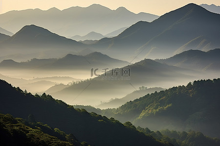背景中有雾气和薄雾的山脉和树木的景色