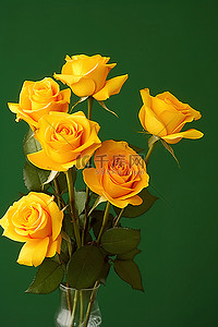 绿色背景下花瓶里的一些黄玫瑰