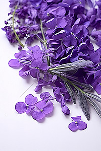 花束的花背景图片_薰衣草叶子里开着紫色的花